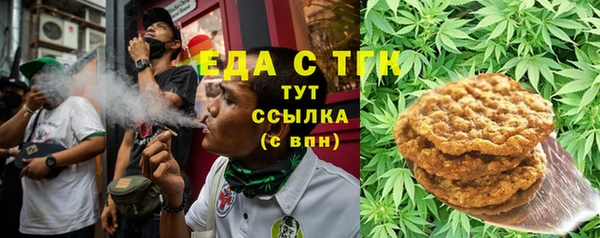 МДПВ Снежногорск